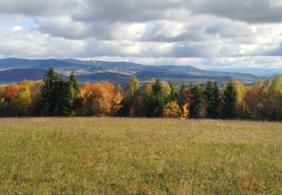 Podpora neformálně pečujících