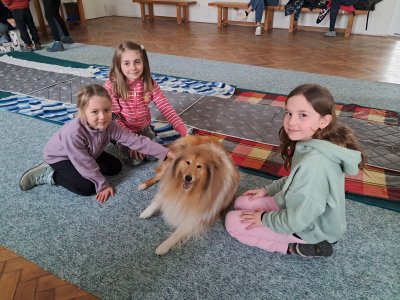 Prevence sociálně-patologických jevů